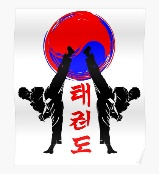 Taekwando secondaire (17109)
