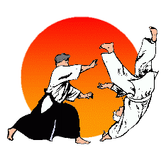 Aikido (11402)